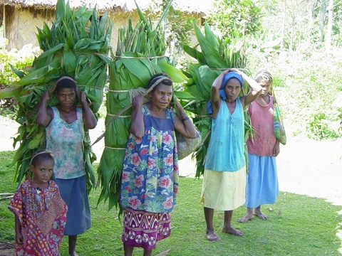 Karim lip mambu bilon rup bilong haus