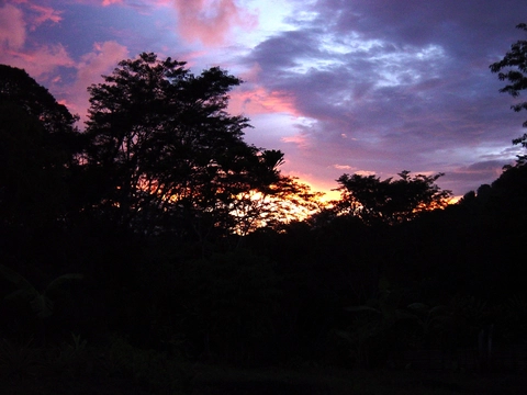 San i go daun long Bakame