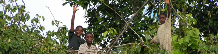 Ama nanak yalehobo fop ginang fat