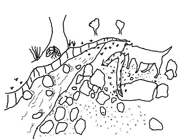 Man Bingam Kalefe Dodofon 5